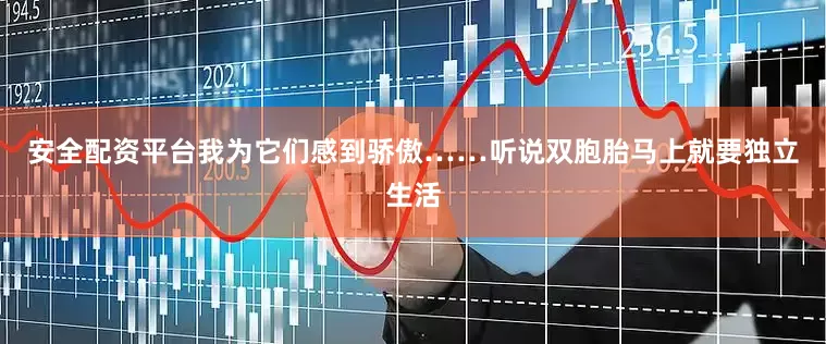 安全配资平台我为它们感到骄傲……听说双胞胎马上就要独立生活