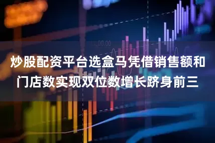 炒股配资平台选盒马凭借销售额和门店数实现双位数增长跻身前三